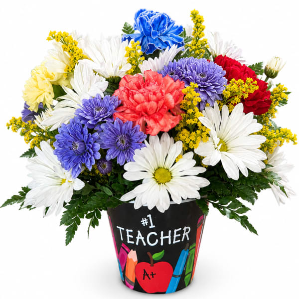 #1 Teacher