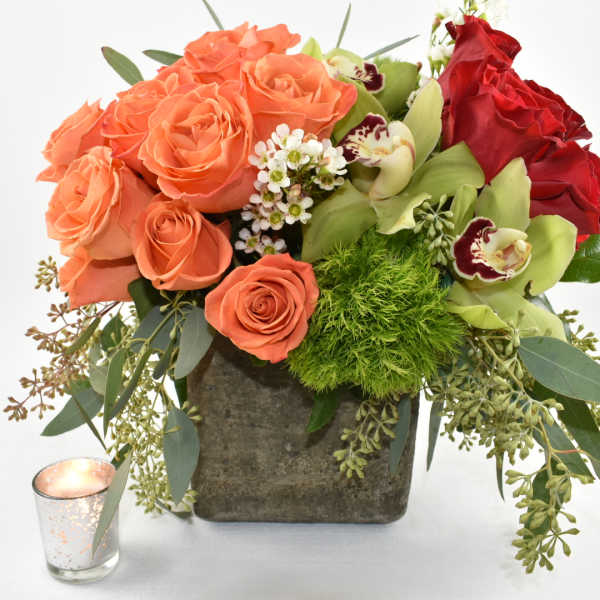 Orange Crush