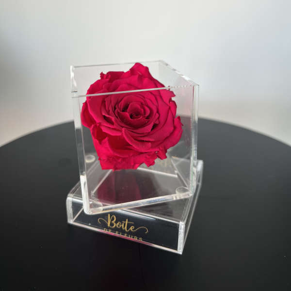Petit Forever Boîte (Fuschia)