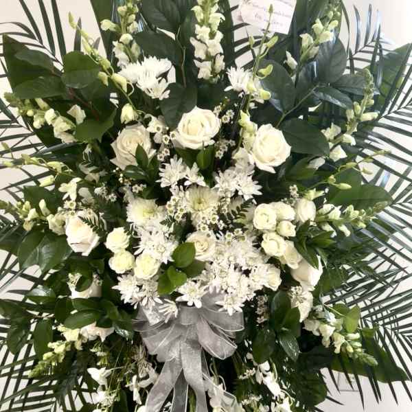 White Elegance