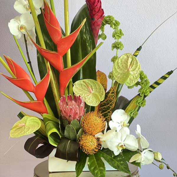Tropical arrangement with red heliconia, white orchids, and green anthuriums in a white vase