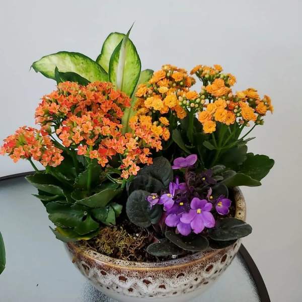 Potted arrangement of orange, yellow, and purple flowers in a ceramic bowl