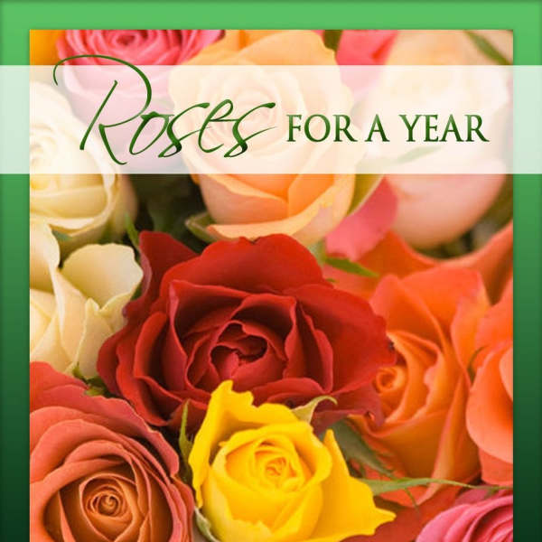 Colorful roses with the text "Roses for a Year"