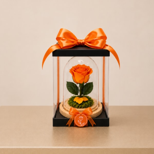 Forever Preserved Rose – Orange (Height: 6.69 ")