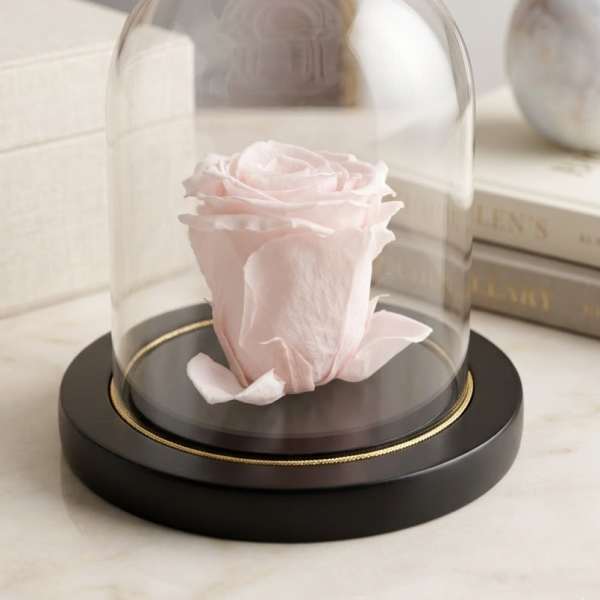 Pink Preserved Forever Rose No Stem