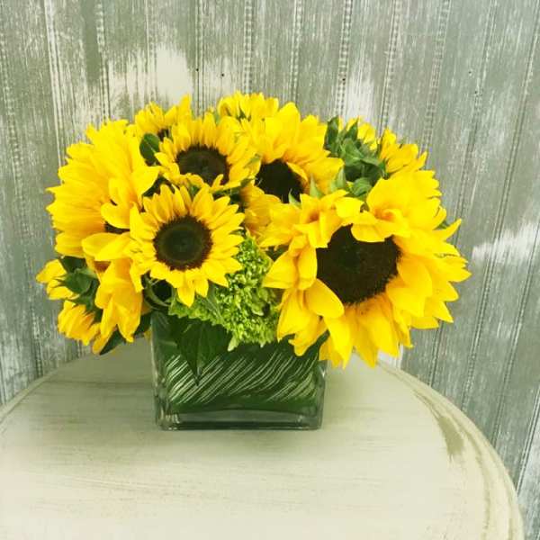 Sunny Day