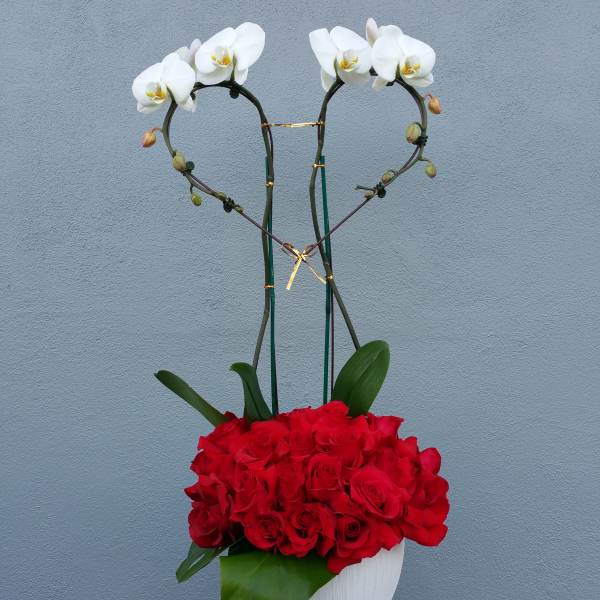 Red rose arrangement in a white vase with two white orchids arching above