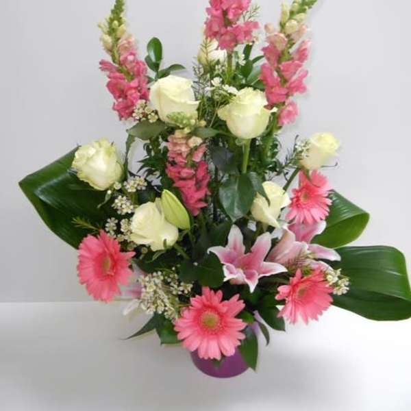 Pink Colour