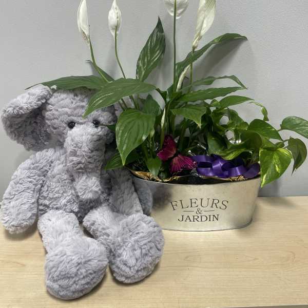 Elephant Garden Planter