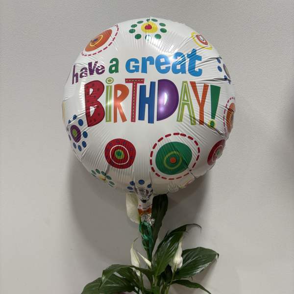 Birthday balloon with a potted plant and candy bag