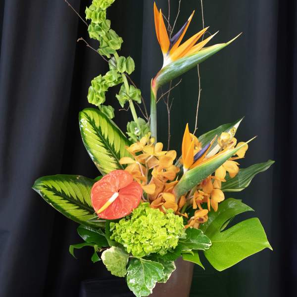 Tropical flower arrangement with orange bird-of-paradise and green hydrangea in a brown pot