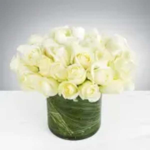 white roses