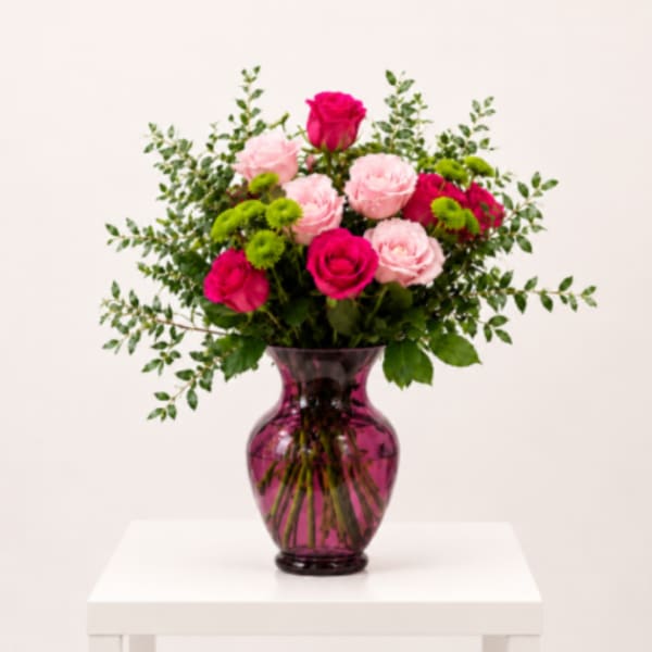 Fuchsia Garden Glow