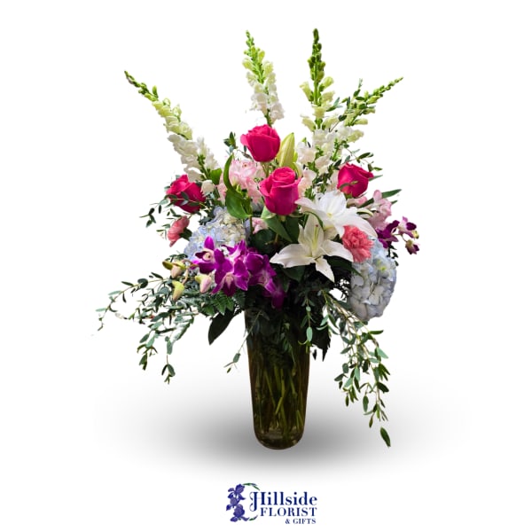 Stunning Beauty