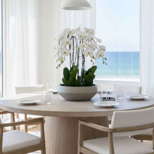 White orchids in a low bowl centerpiece on a dining table
