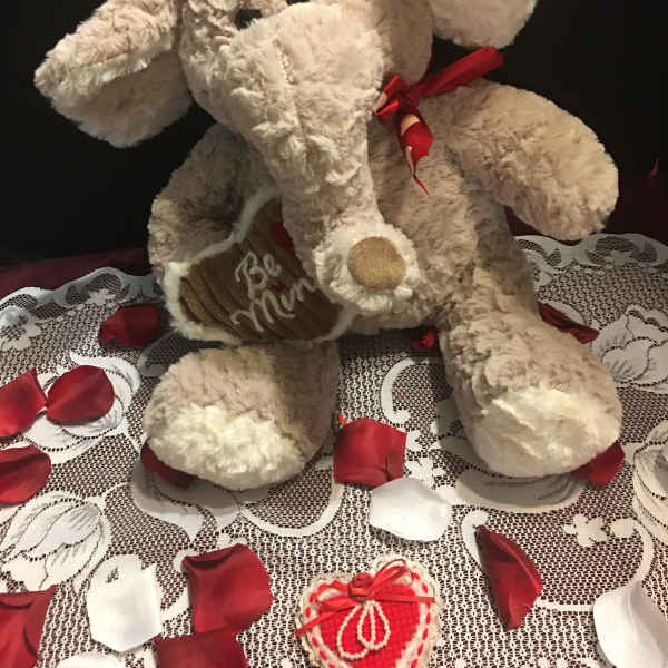 Assorted Plush Animals
