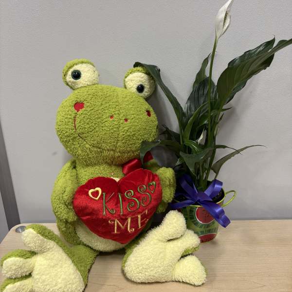 Plush frog holding a heart beside a potted peace lily
