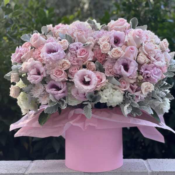 Pink dreams box