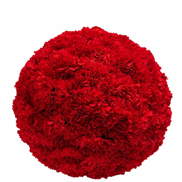 Modern Red velvet table globe