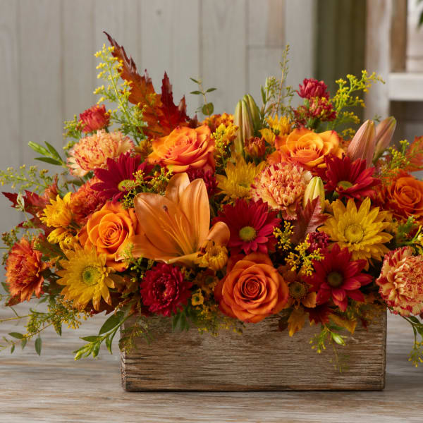 Rustic Fall for Tampa