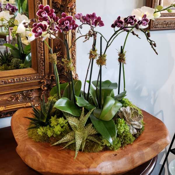 Potted orchids and succulents arranged in a shallow wooden bowl