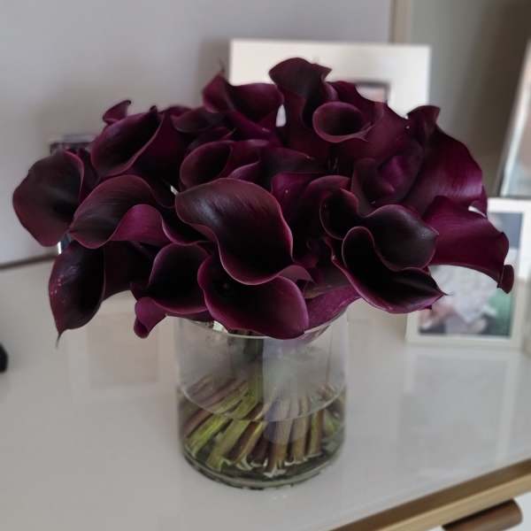Calla Millie