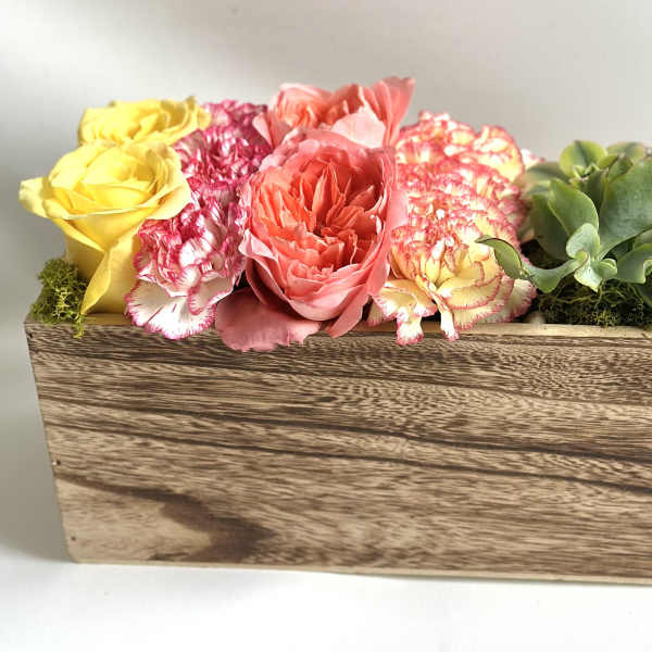 Painted Garden Row by Barb’s Flowers