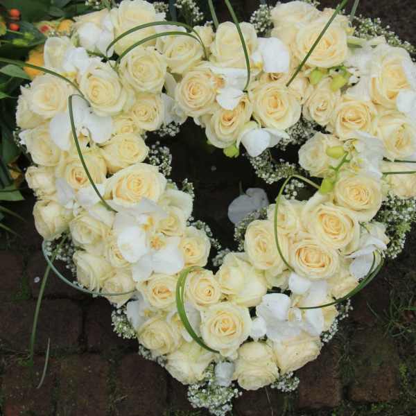 Heart-shaped wreath of cream roses and white orchids
