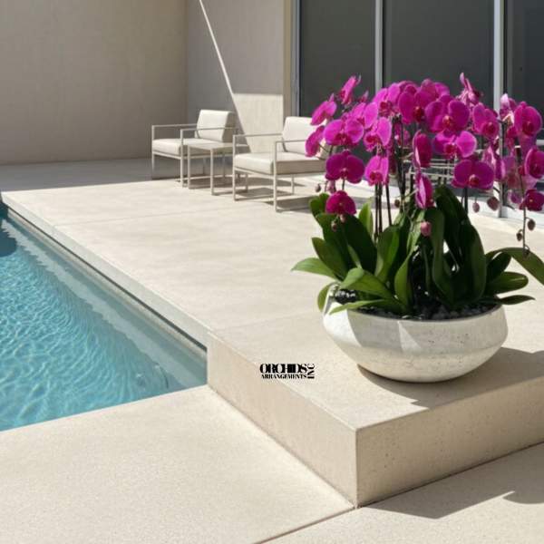 Potted pink orchids in a white bowl planter beside a pool