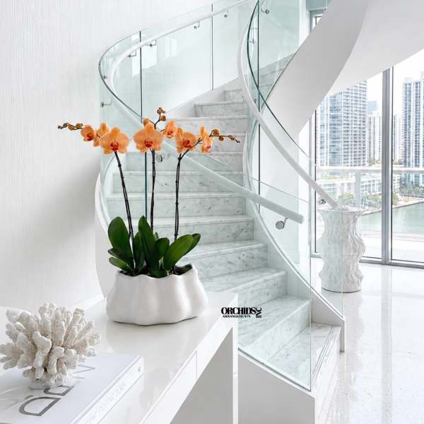 Orange orchids in a white planter on a modern staircase landing.