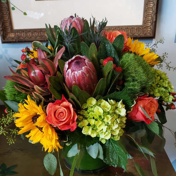 Autumn Romance