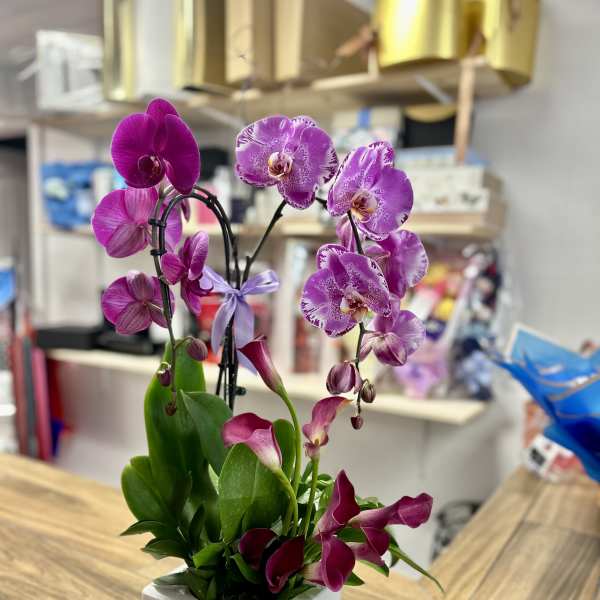 Purple orchids arranged in a white square pot