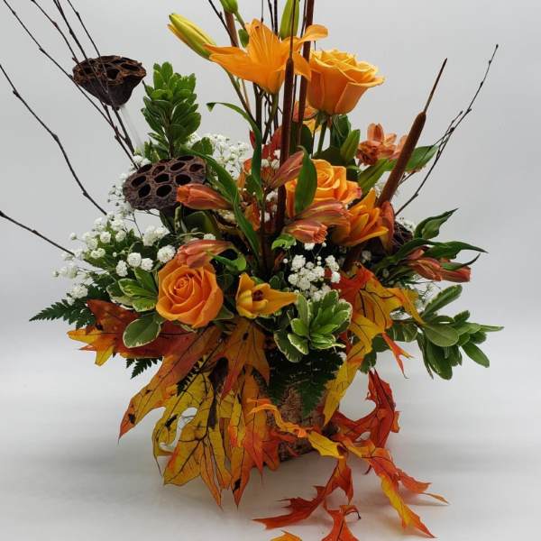 Burnt Orange Meadow
