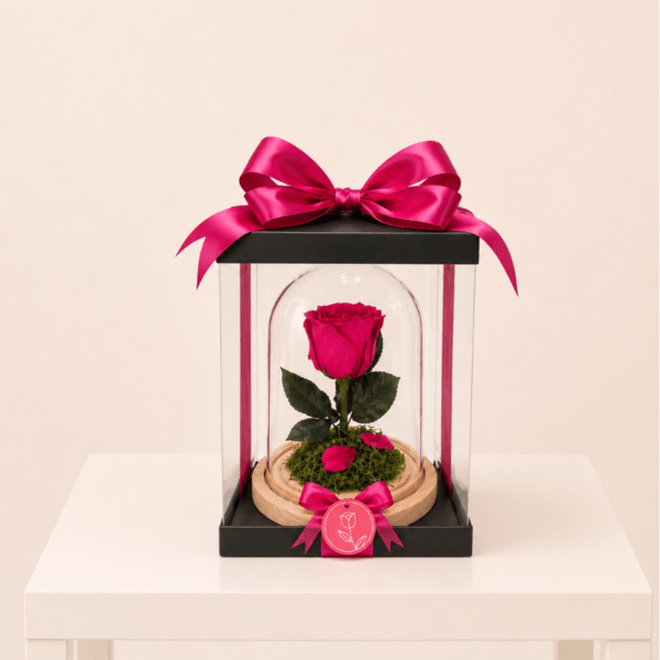 Forever Preserved Fuhsia Rose (Height: 6.69 ")ver