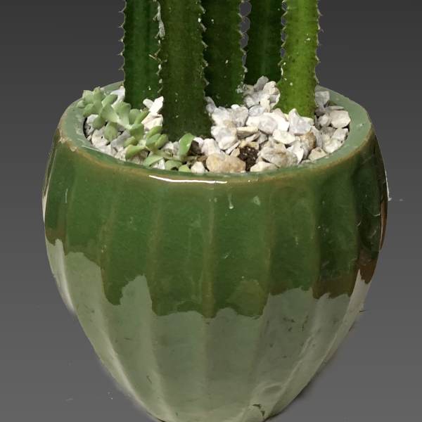 Potted cactus arrangement in a green ceramic planter