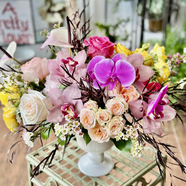 Lauren