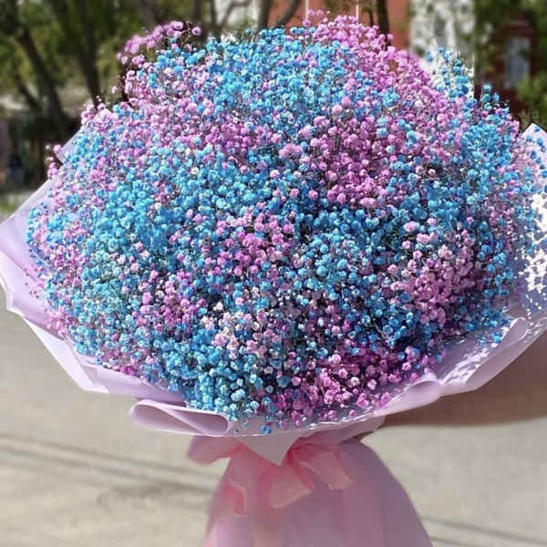 Large bouquet of blue and pink baby's breath wrapped in pastel paper