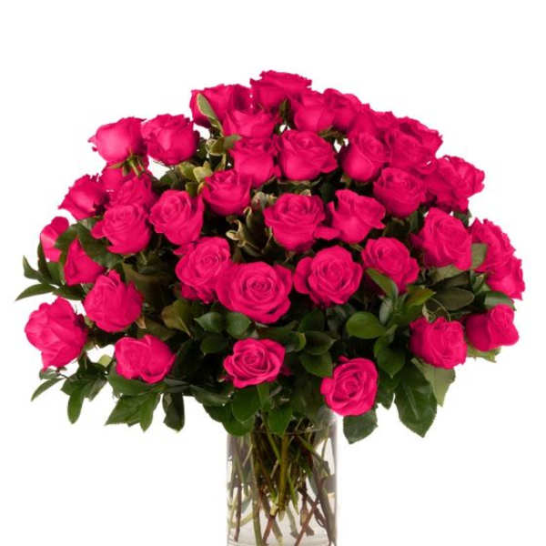 Four Dozen Hot Pink Roses