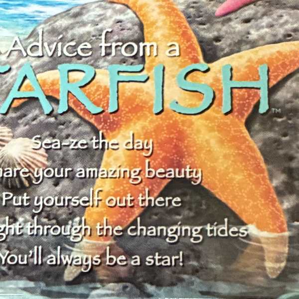 Advice From A Starfish Magnet