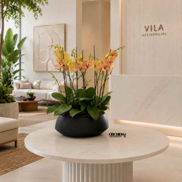 Potted orchid arrangement with yellow and pink blooms in a black bowl planter