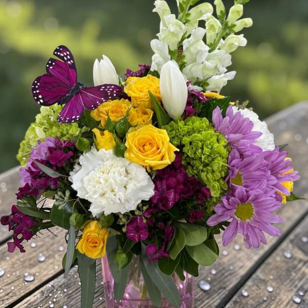 Butterfly Sunrise