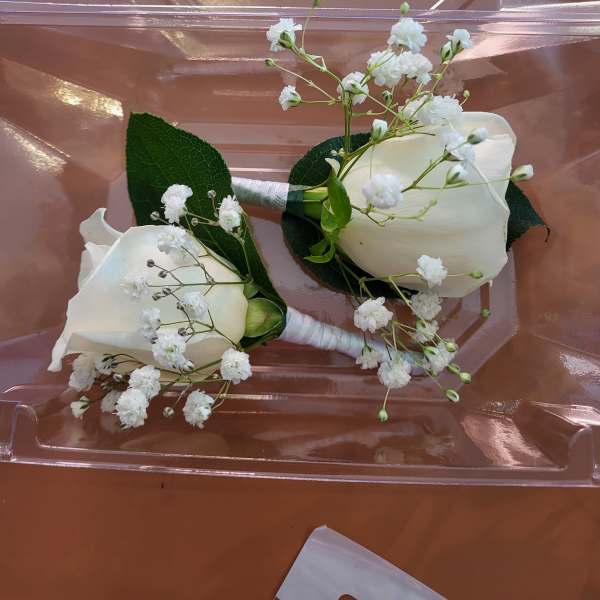 White rosa
