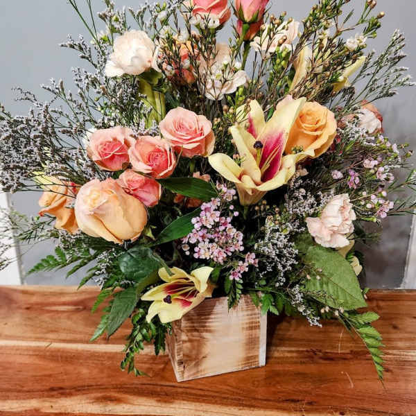 Autumn Lilly
