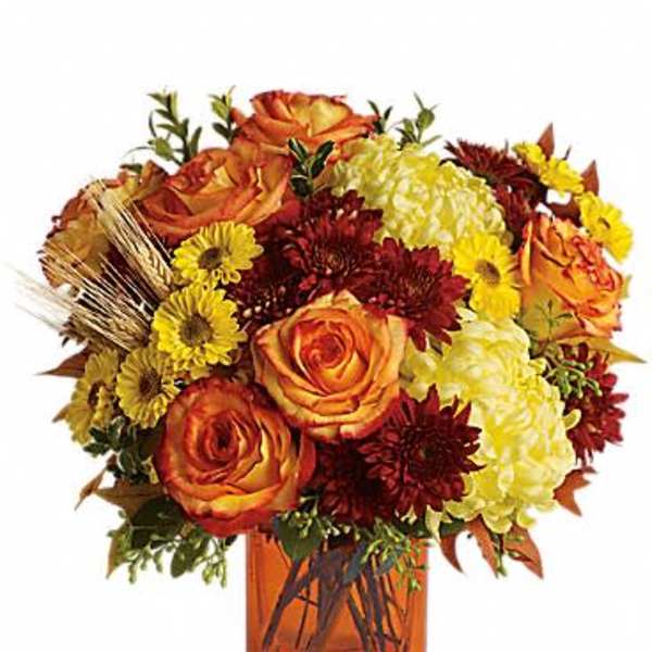 Expressions of Autumn