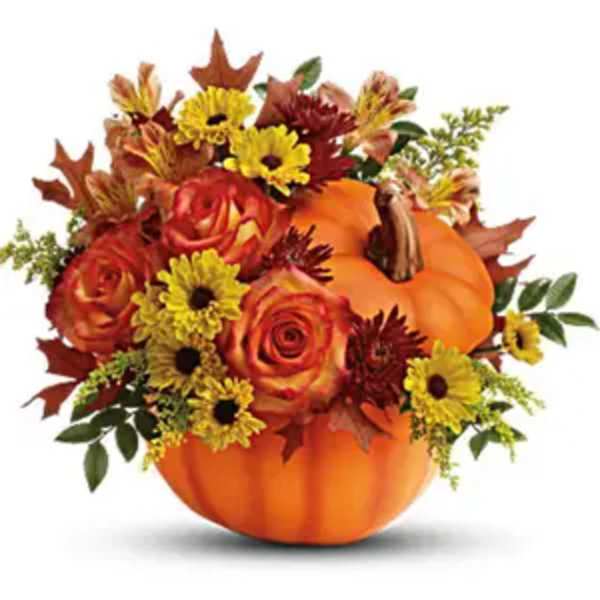 Pumpkin-shaped arrangement with orange roses and yellow daisies