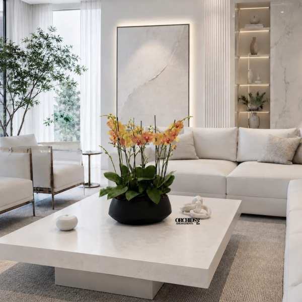 Potted orchid arrangement with yellow and peach blooms on a coffee table