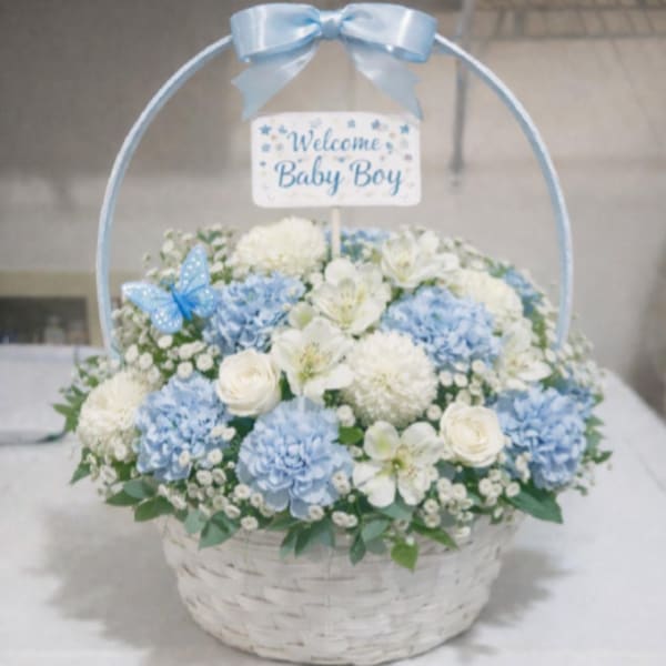 Little Boy Welcome Basket