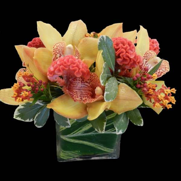 Yellow orchids and pink cockscomb in a square glass vase