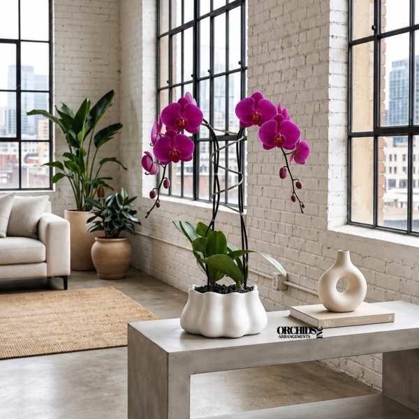 Potted purple orchids in a white planter on a concrete table