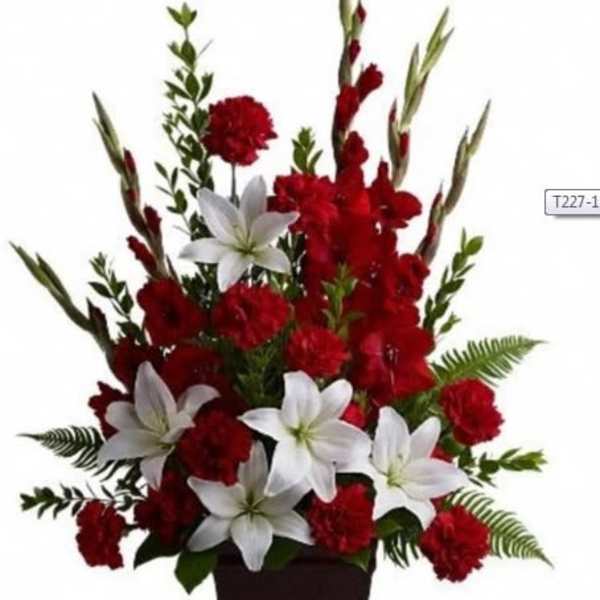 Tender Tribute